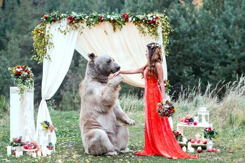PAY-BEAR-WEDDING (1)