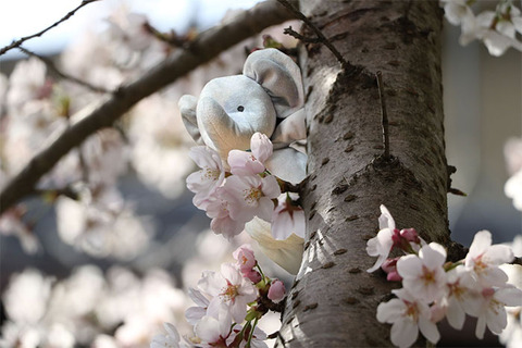 lost-toy-travel-world-