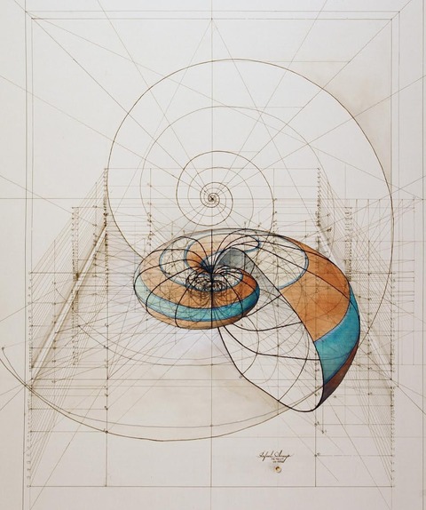nautilus (1)