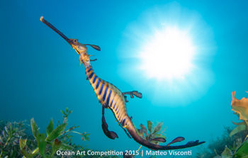 hm-c-ocean-art-2015-matthew-tworkowski-350