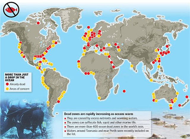 メキシコ湾の死の領域デッドゾーンが最大化 ひかたま 光の魂たち