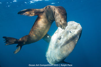 6th-mlb-ocean-art-2015-ralph-pace-350