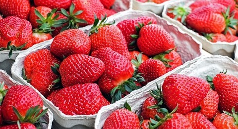 strawberries-1350482_960_720