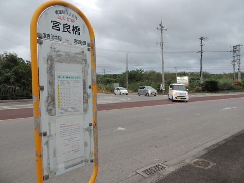 DSCN3462