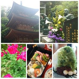 PhotoGrid_1432025590013