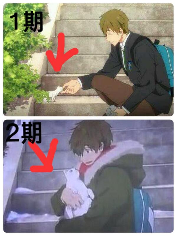 ねえ もしかしてfree 2期のまこちゃんが抱っこしてるこの シャイン速報局 アニメ声優まとめ