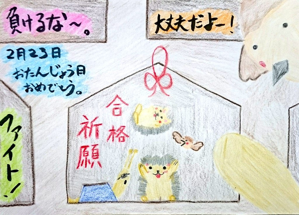深川緑 しんせんりょく シャイン速報局 アニメ声優まとめ