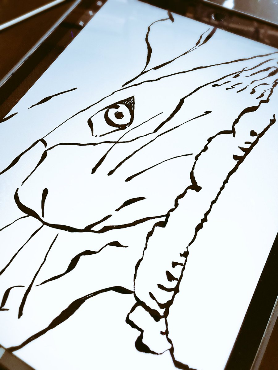 登場記念にランドルフ描いたけど 眼の色分からなくて濡れない シャイン速報局 アニメ声優まとめ