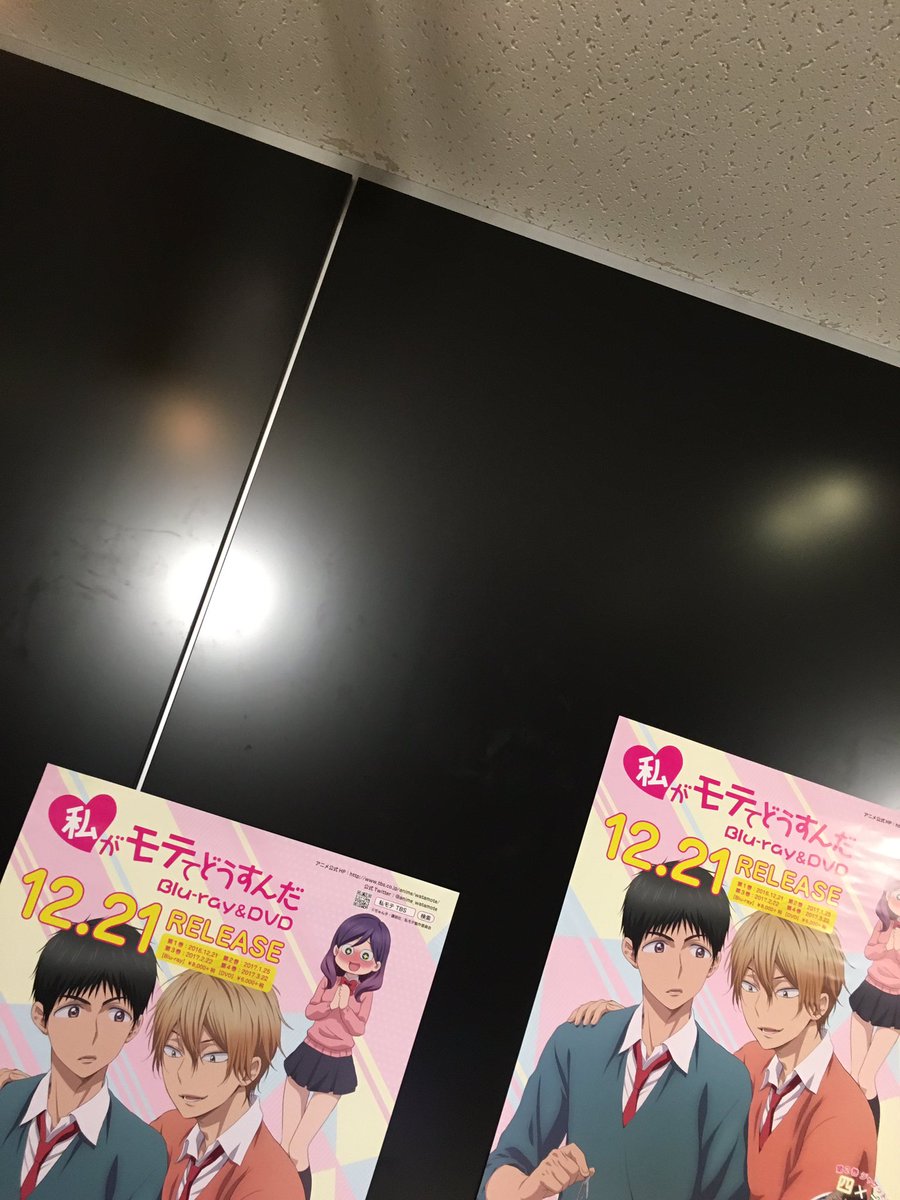 小林ゆうですなう ニコニコ生放送もうすぐですなう 島崎信長 シャイン速報局 アニメ声優まとめ 小林ゆうですなう ニコニコ生放送もうすぐですなう 島崎信長 シャイン速報局 アニメ声優まとめ