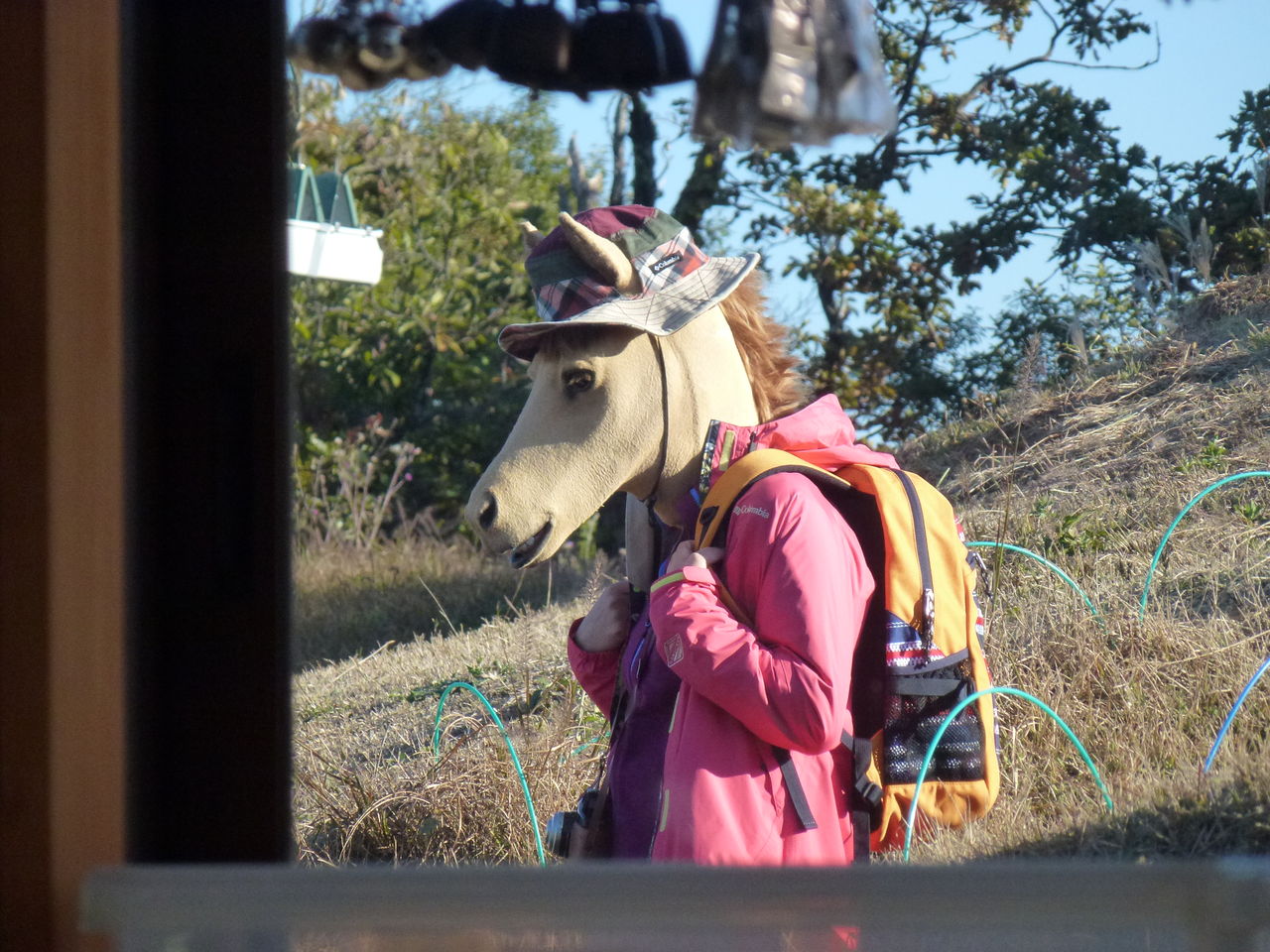 走れ サユリちゃん ネット配信中 陣馬山から 信玄茶屋blog 走れ サユリちゃん ネット配信中 陣馬山から 信玄茶屋blog