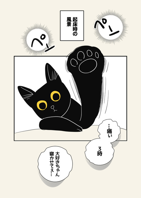 世界で一番可愛い猫_028