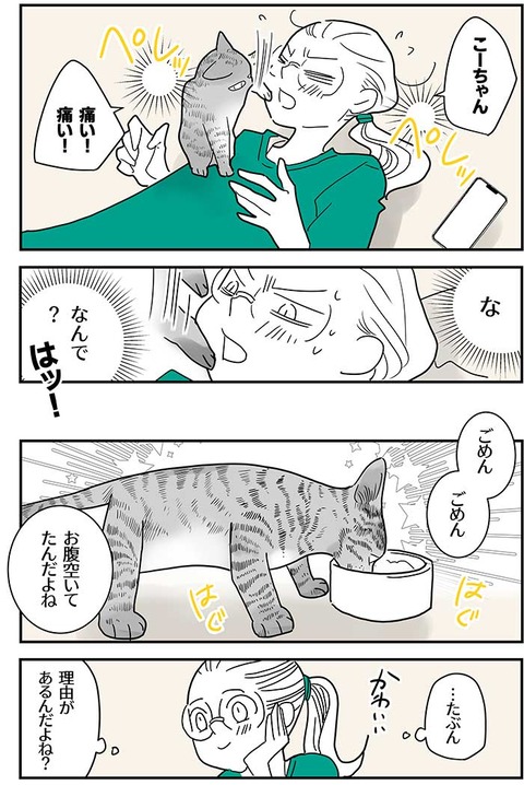 世界で一番可愛い猫_023
