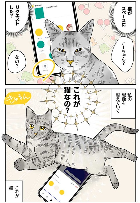世界で一番可愛い猫_026