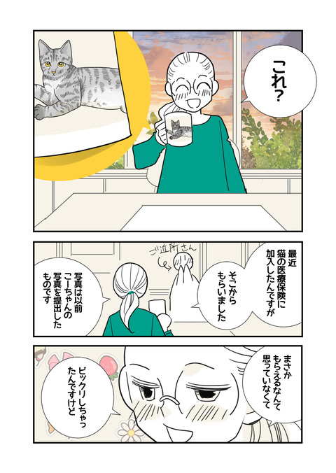 世界で一番可愛い猫_039