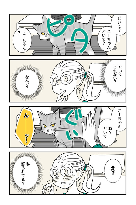 世界で一番可愛い猫_034