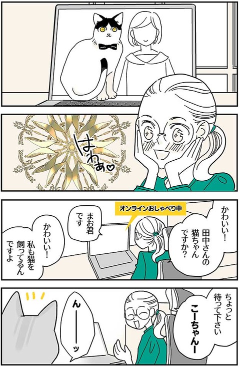 世界で一番可愛い猫_017