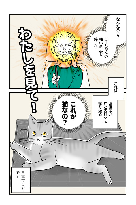 世界で一番可愛い猫_036