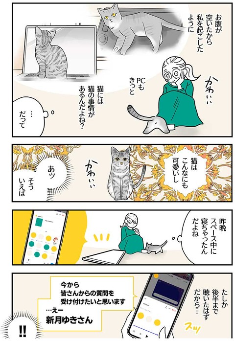 世界で一番可愛い猫_024
