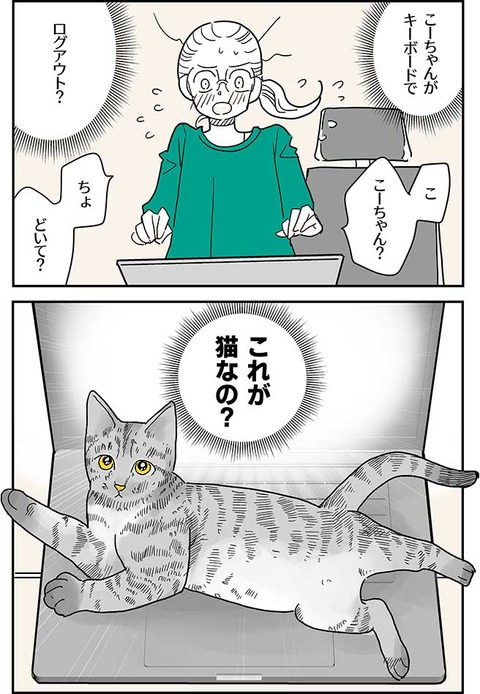 世界で一番可愛い猫_020