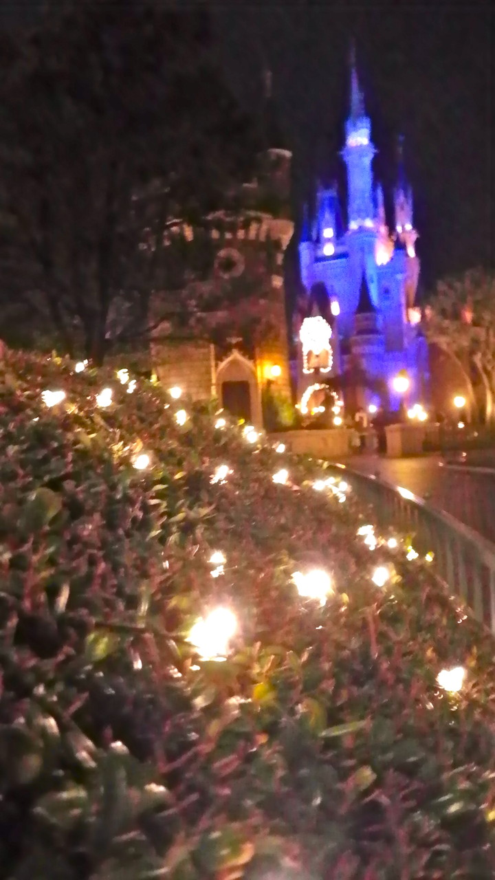 東京ディズニーランド シンデレラ城 新宮市うろうろ