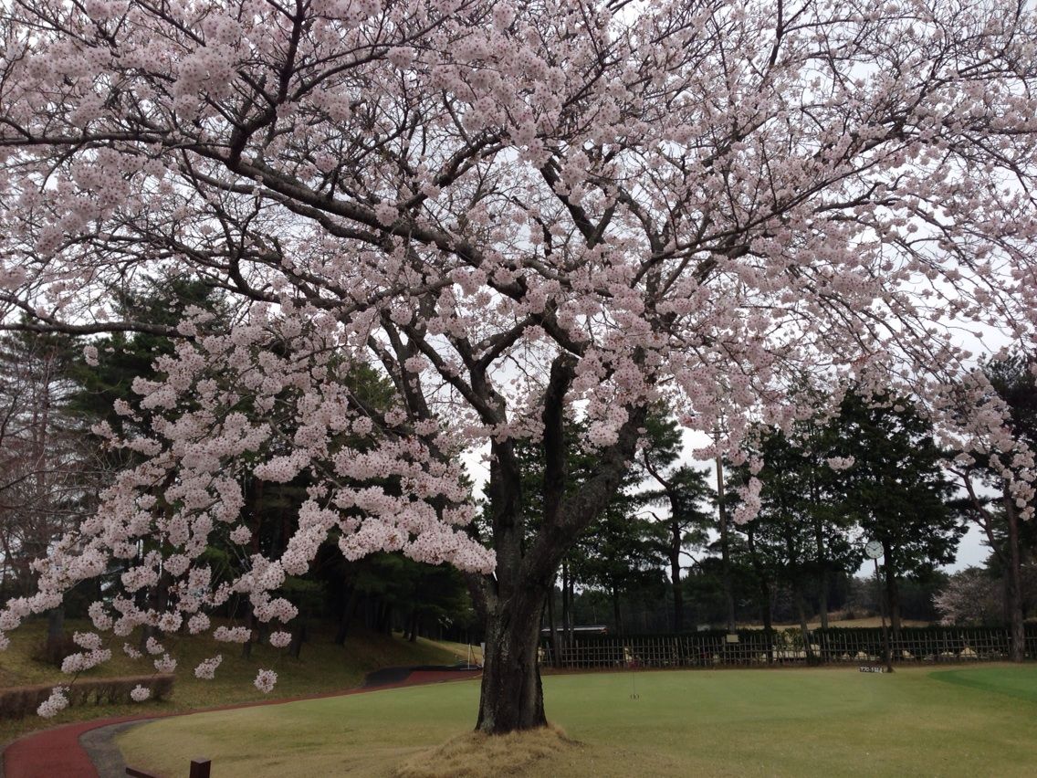 R11 新千葉カントリークラブ Slide Away