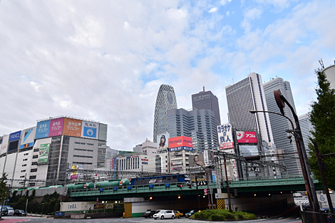 �����ʪ�� �����ʪ��� 9765�� EF210 117 4094