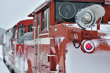 ½¡Ã«¥é¥Ã¥»¥ë Àã372¥ì DE15 1521 2020.2.10 5491