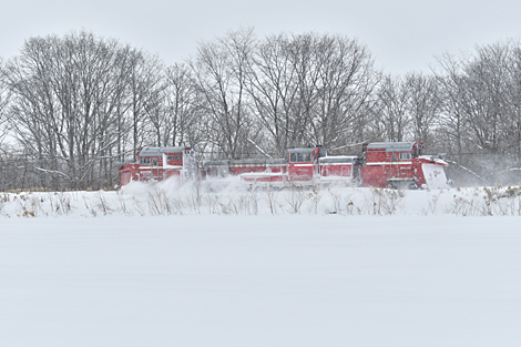 ½¡Ã«¥é¥Ã¥»¥ë Àã372¥ì DE15 2521 2020.2.10 5458