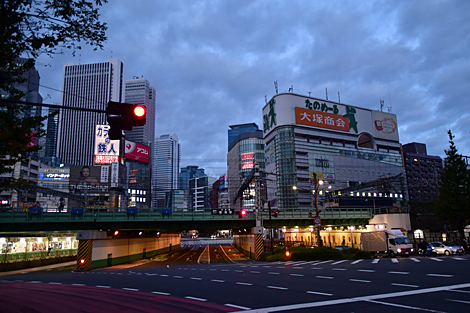 �����ʪ�� �����ʪ��� 3980