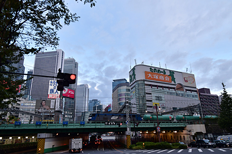 �����ʪ�� �����ʪ��� 9574�� EF210 152 4049