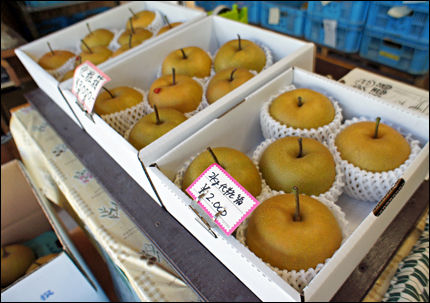 桃と梨 加古フルーツ園(大府市) : *Daily News* 名古屋・三河の