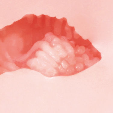 証明_ひびき_フィニッシュ拡大