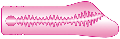 ばんぎゃ_あんず内部