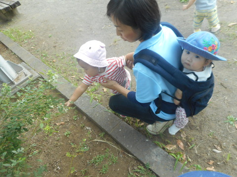 DSCN2144