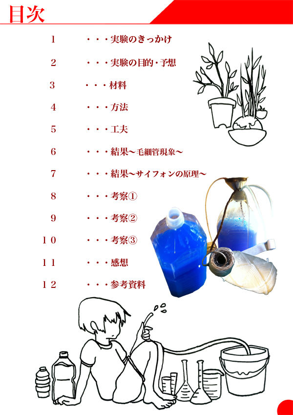 全て自由の自由研究じゃなかった自由研究 Shinks1121のブログ 全て自由の自由研究じゃなかった自由研究 Shinks1121のブログ