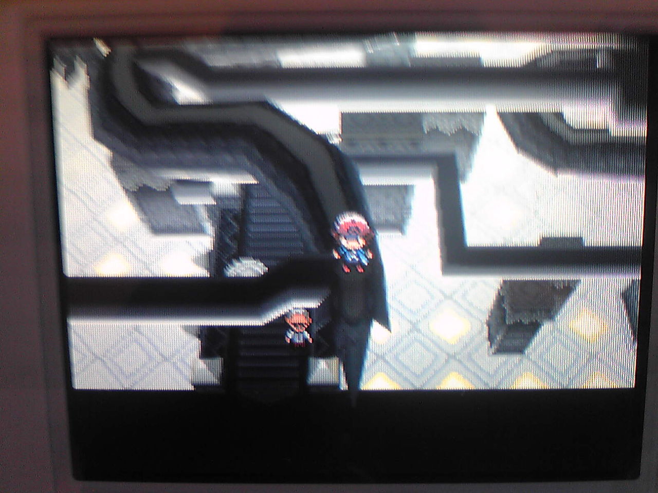 ただ今ヘルガー育成中 しんくんちゃんの気ままな日記