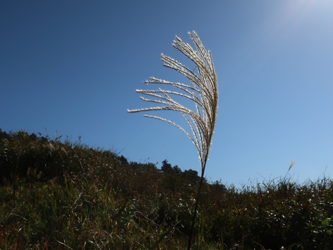 伊吹山2018