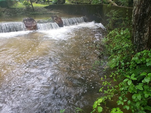 LINE_ALBUM_2022-8-17～18 ローソク温泉🥰_220819_33