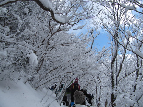 高見山