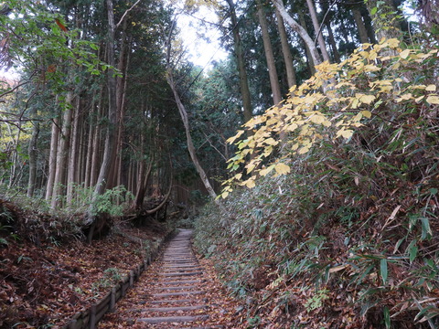 金剛~葛城