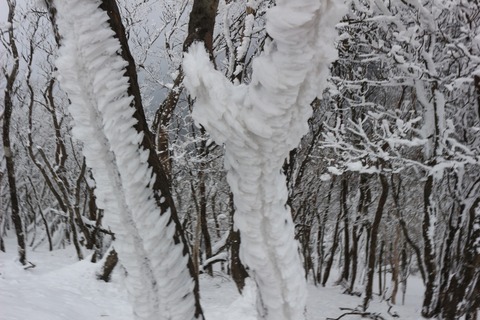 高見山