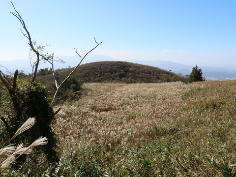 伊吹山2018