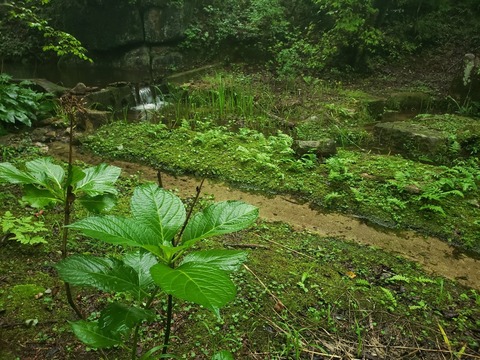 LINE_ALBUM_2022-8-17～18 ローソク温泉🥰_220819_29