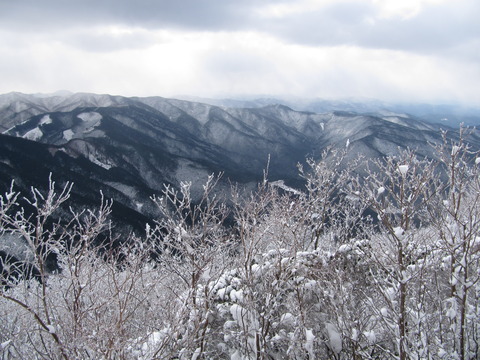 高見山