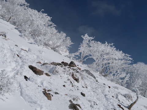 雪の伊吹山2019