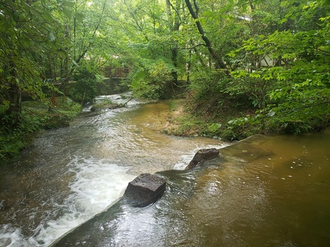 LINE_ALBUM_2022-8-17～18 ローソク温泉🥰_220819_27