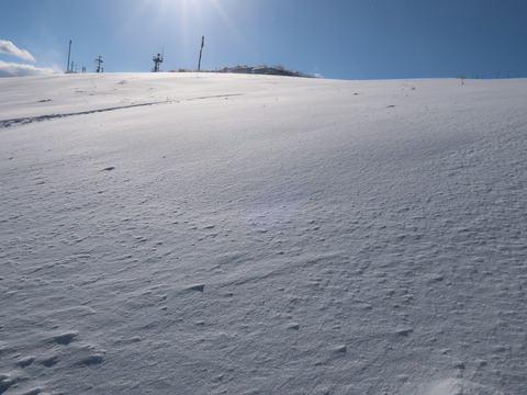 雪の伊吹山2019