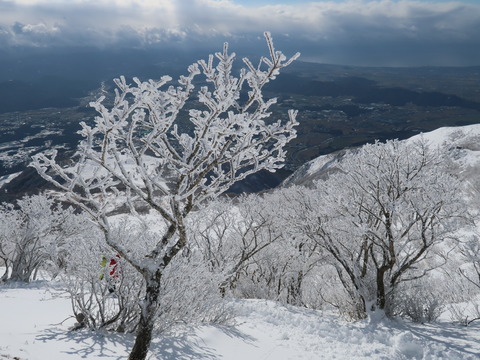 雪の伊吹山2019