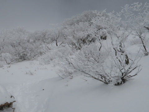 雪の伊吹山2019