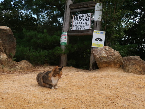 2019-9-12 六甲山